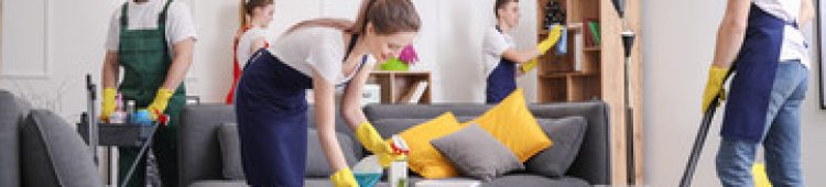 Social Media Cleaning Team cleaning a home