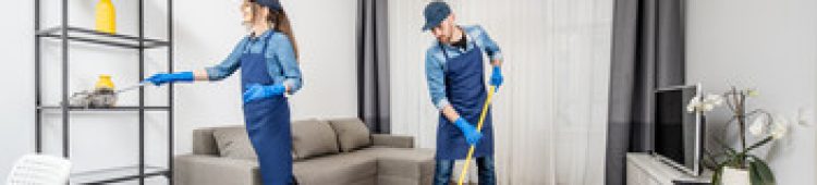 apartment cleaning pic 4